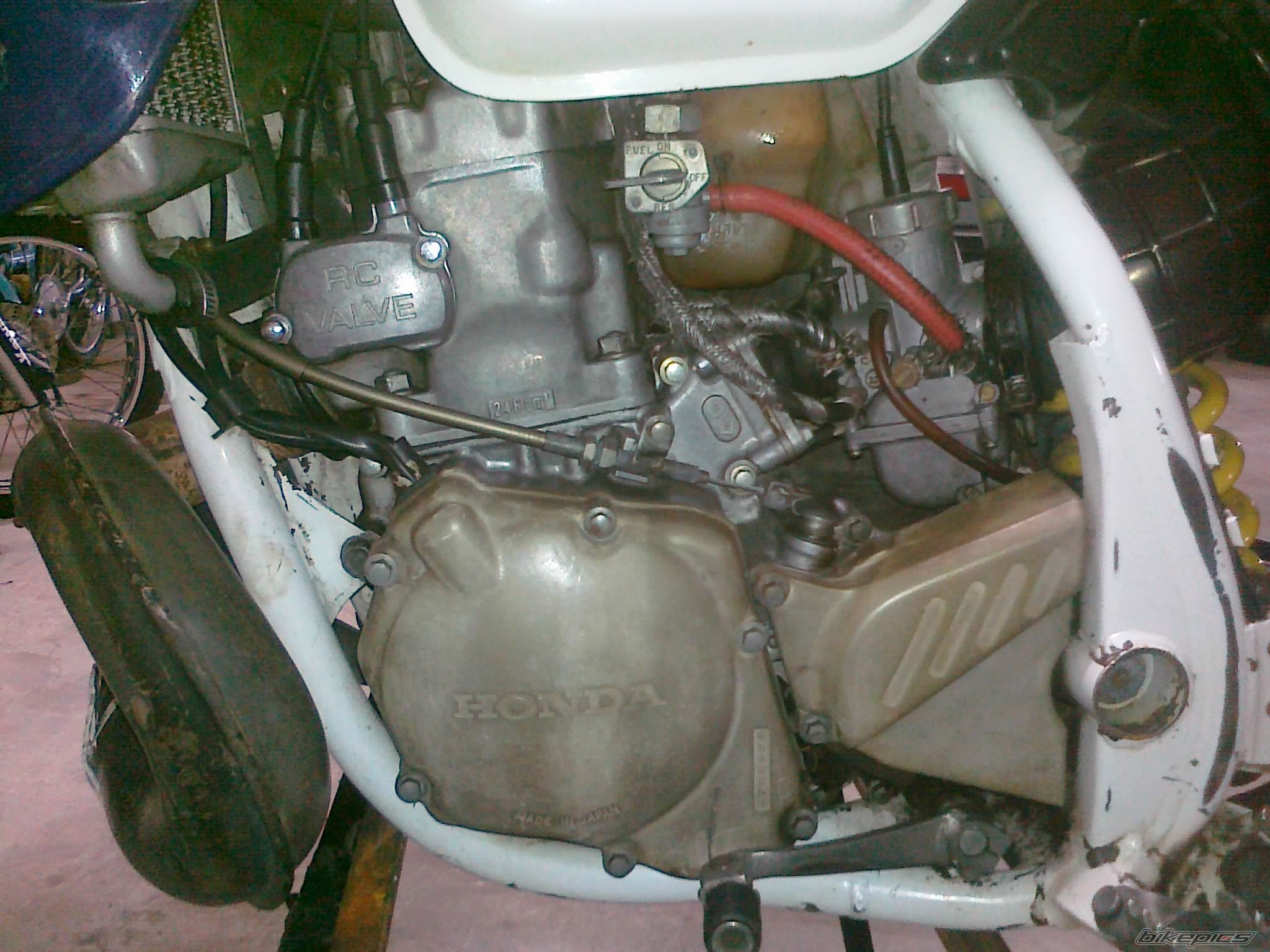 Photo 2421290
