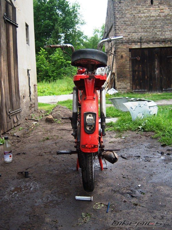 Photo 2421306