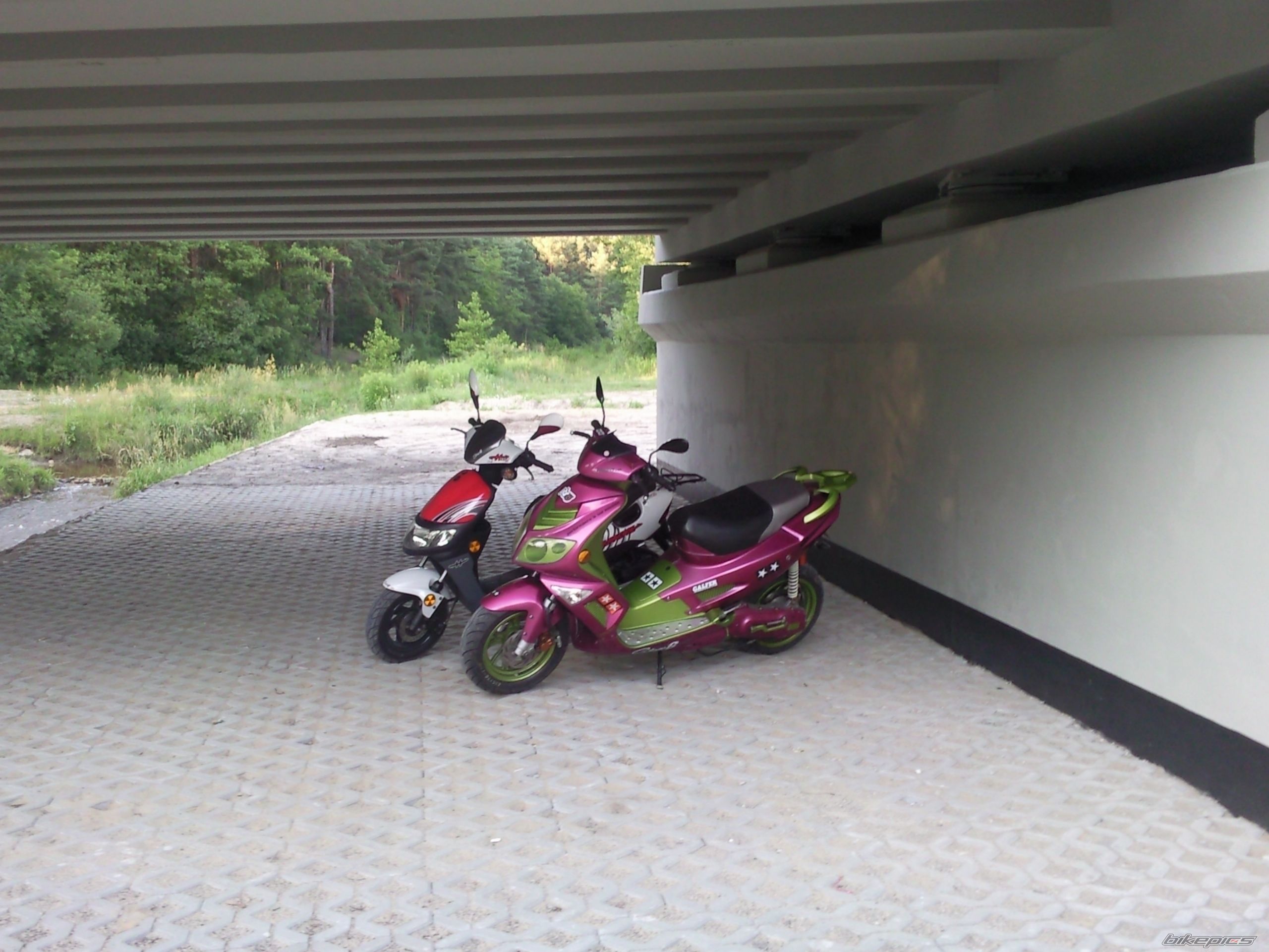 Photo 2421313