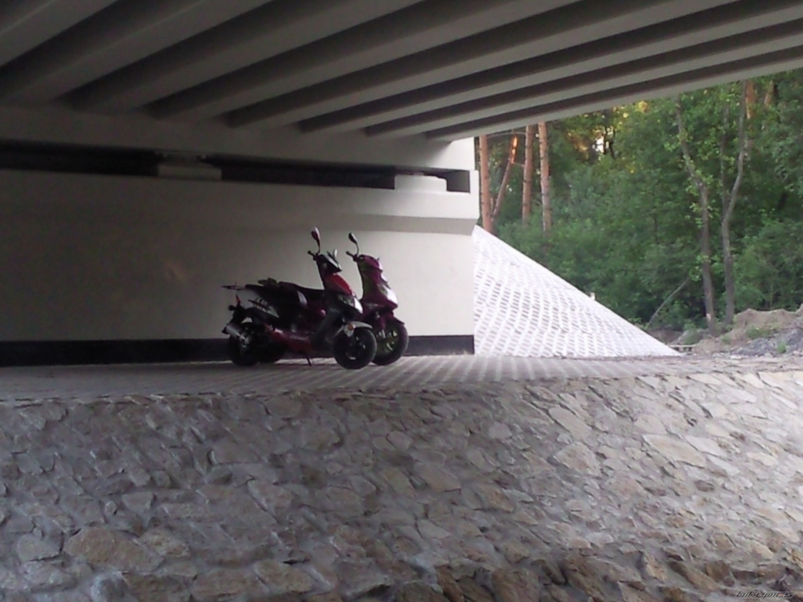Photo 2421342