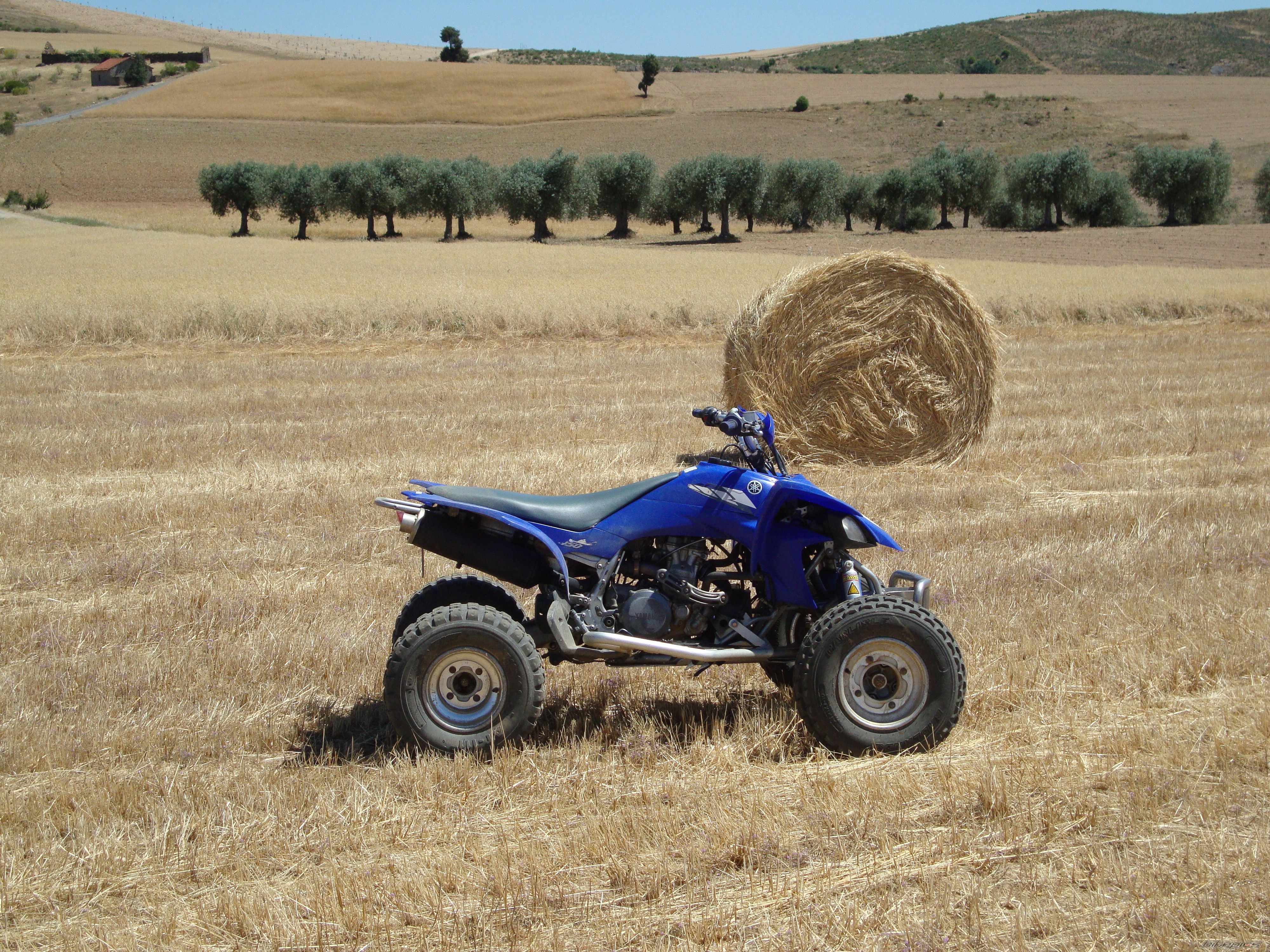 Bike Photo 2421355
