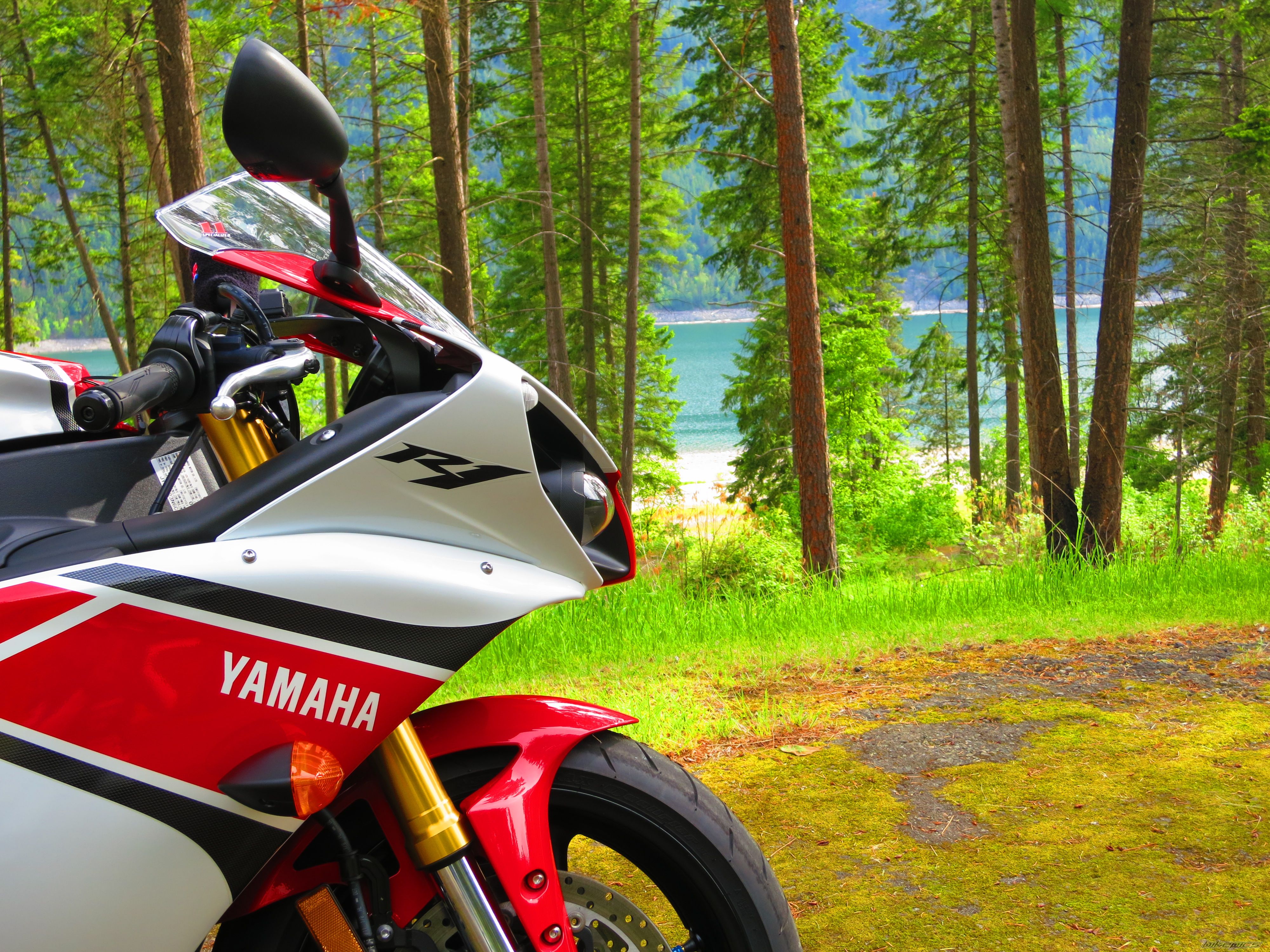 Bike Photo 2421425