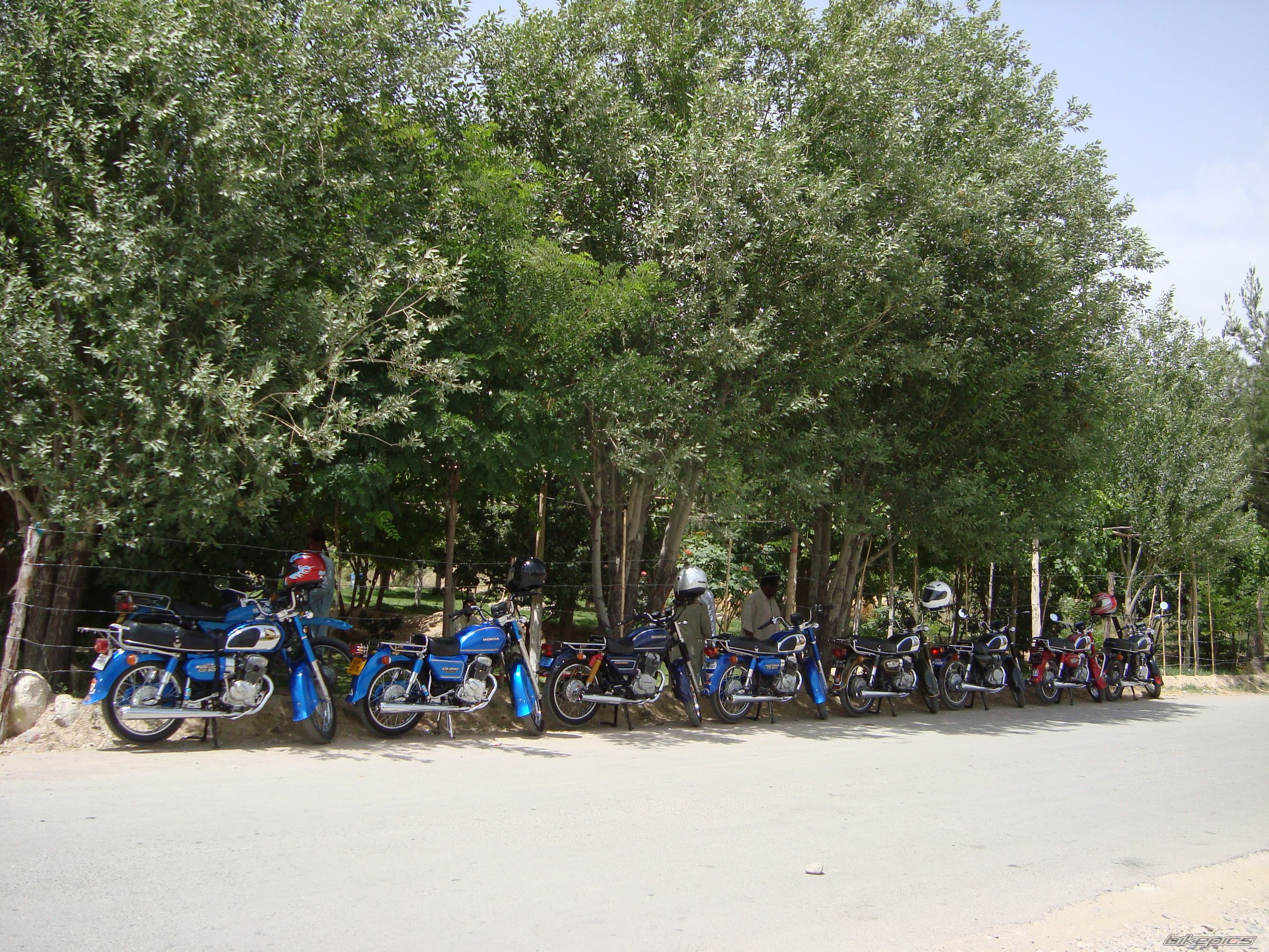 Photo 2421446