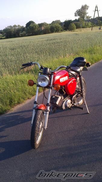 Photo 2421460