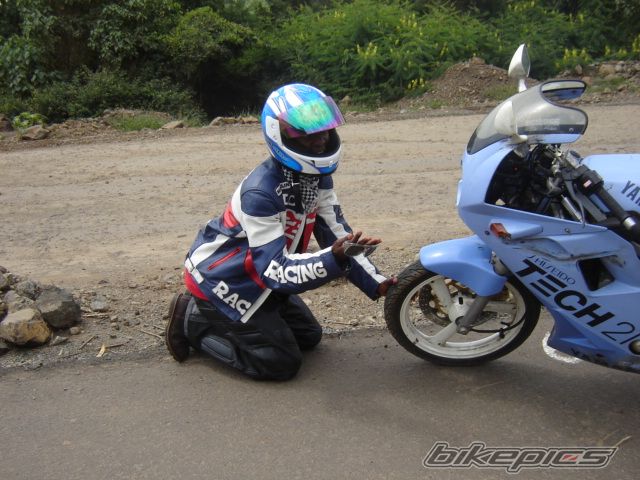Photo 2421494