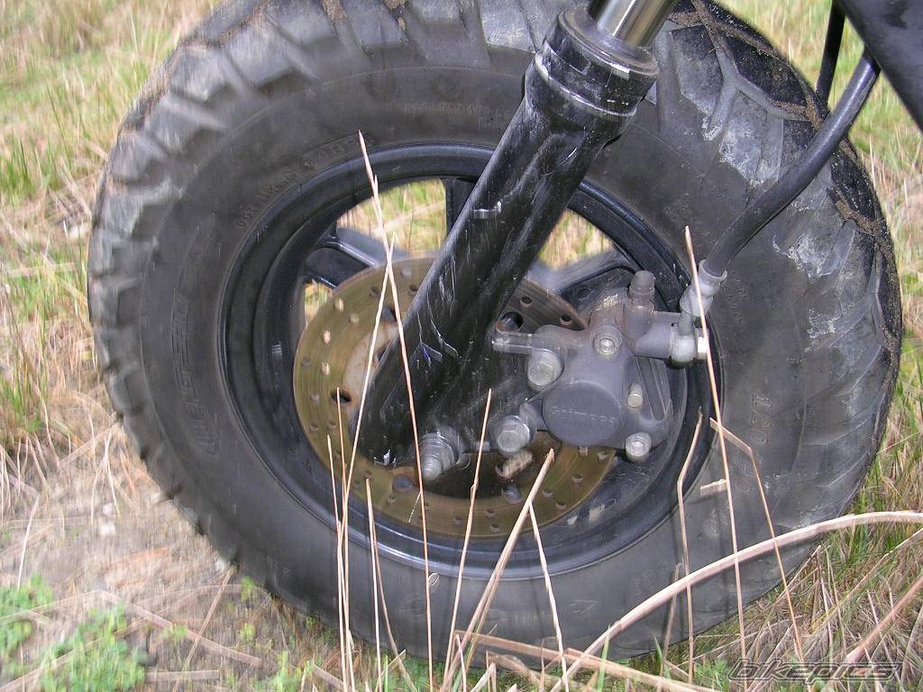 Photo 242154