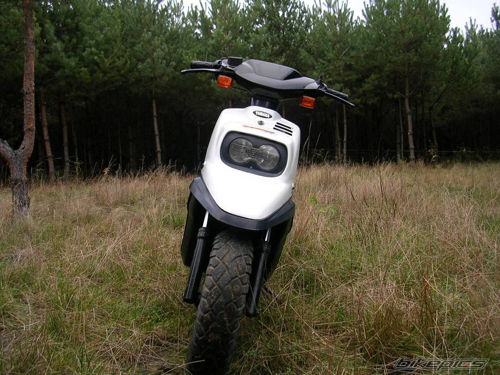 Photo 242155