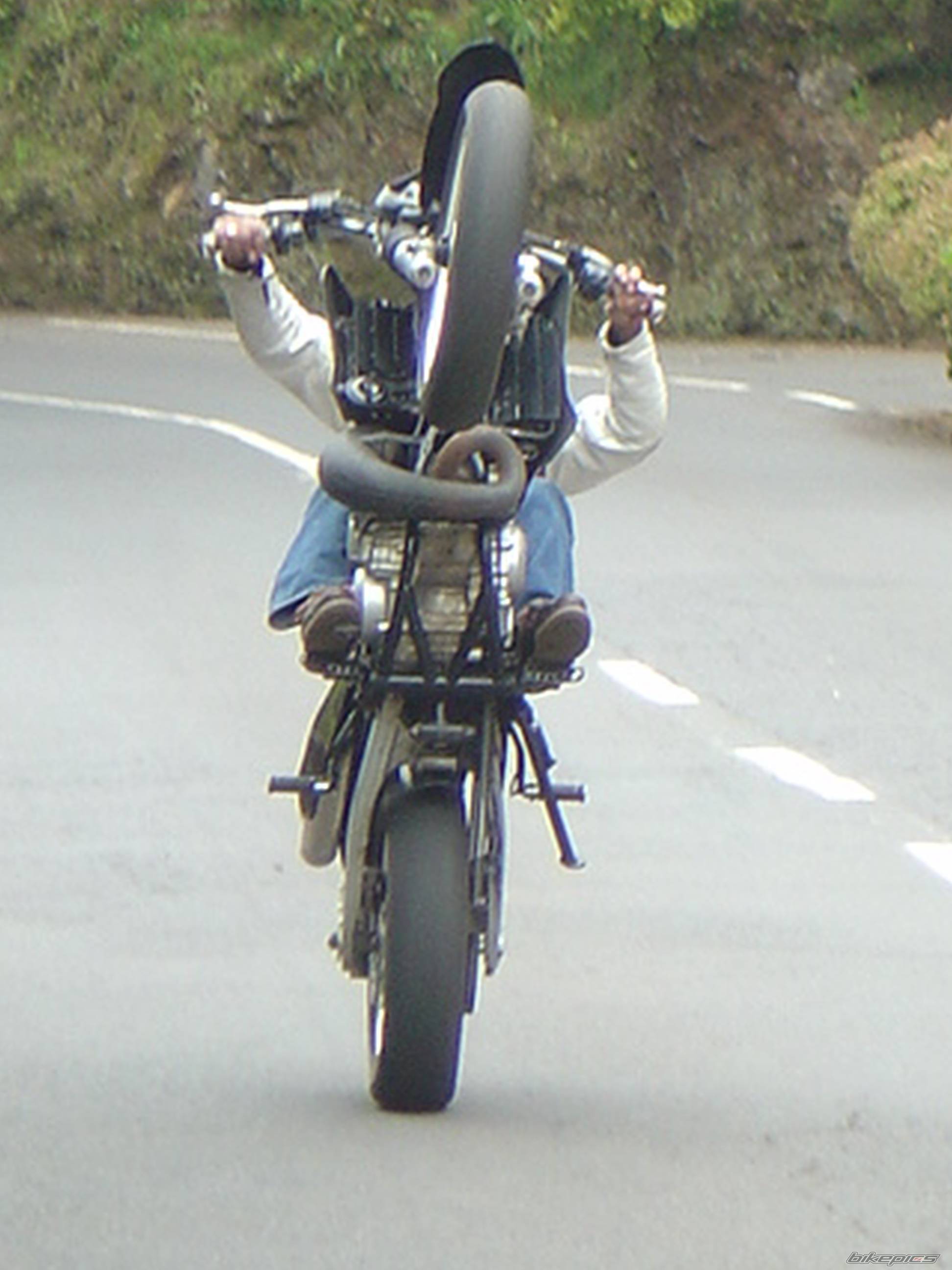 Photo 242159