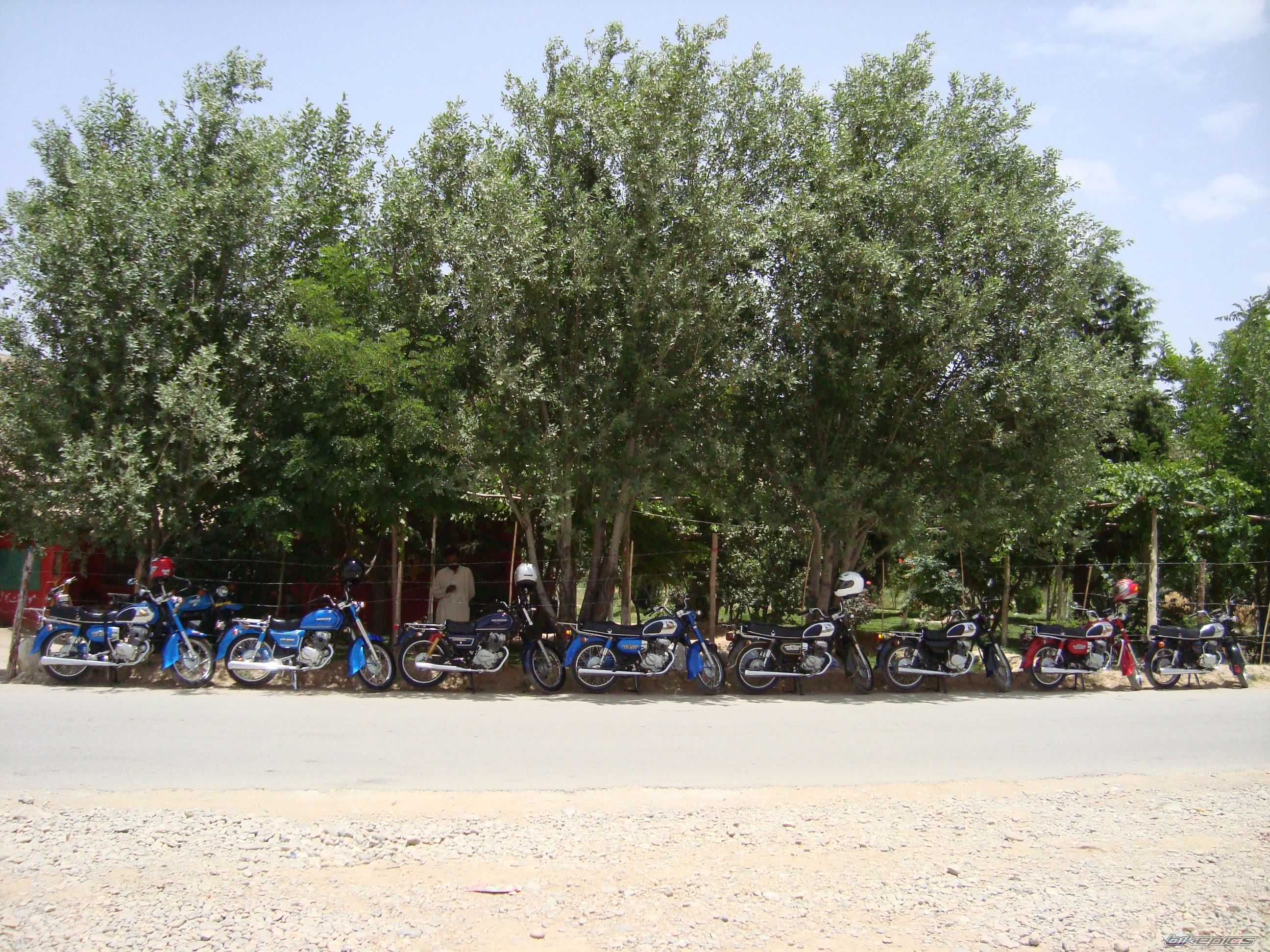 Photo 2421652
