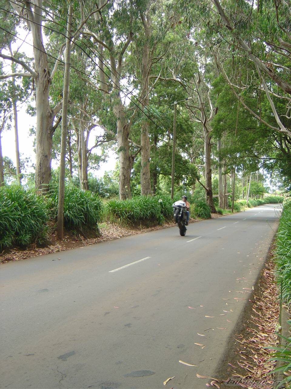 Bike Photo 242169
