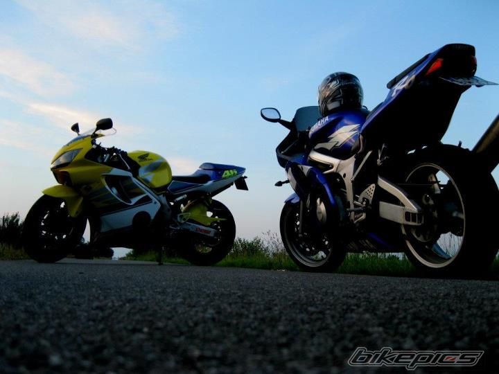 Photo 2421697