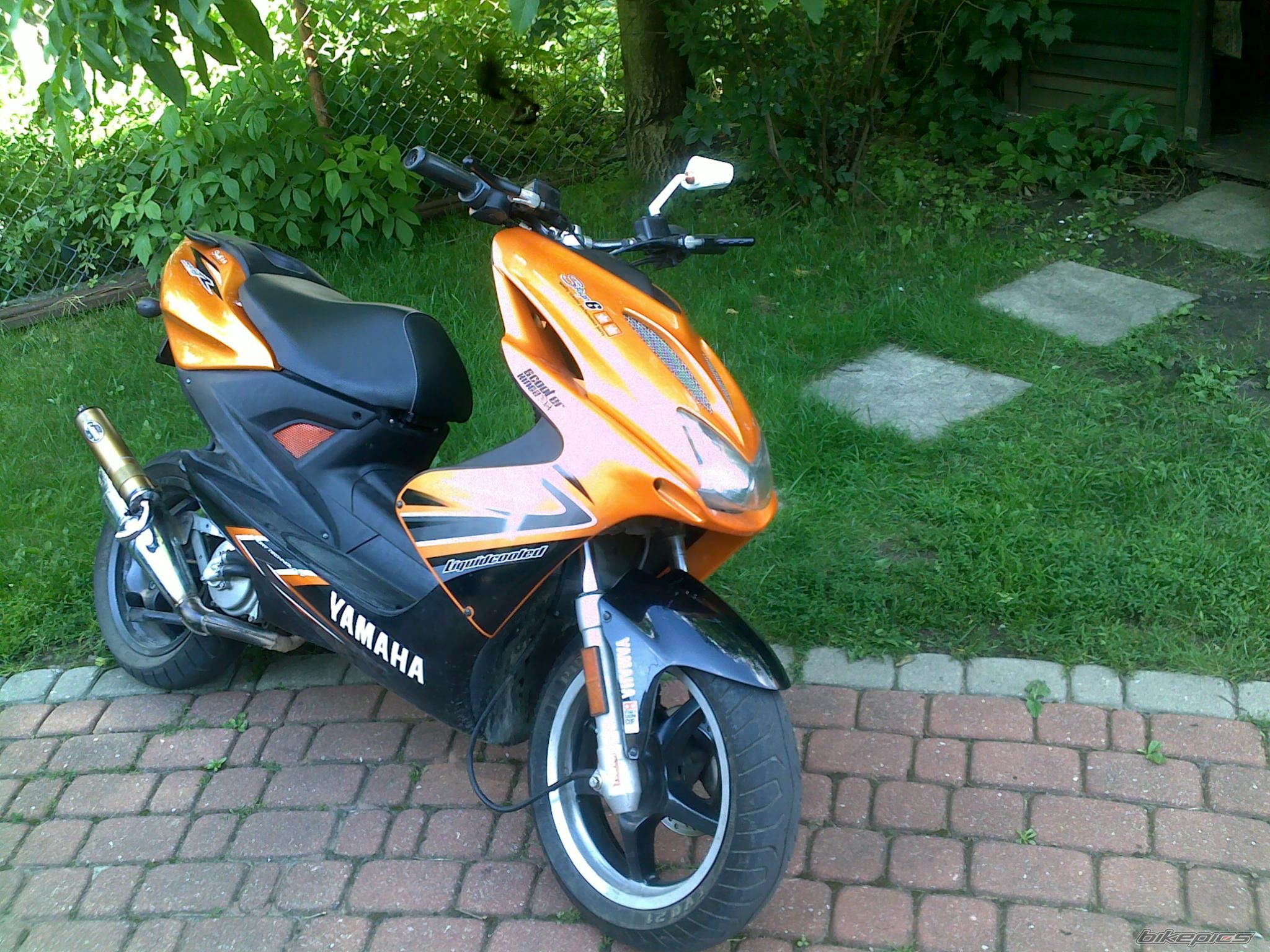 Photo 2421710