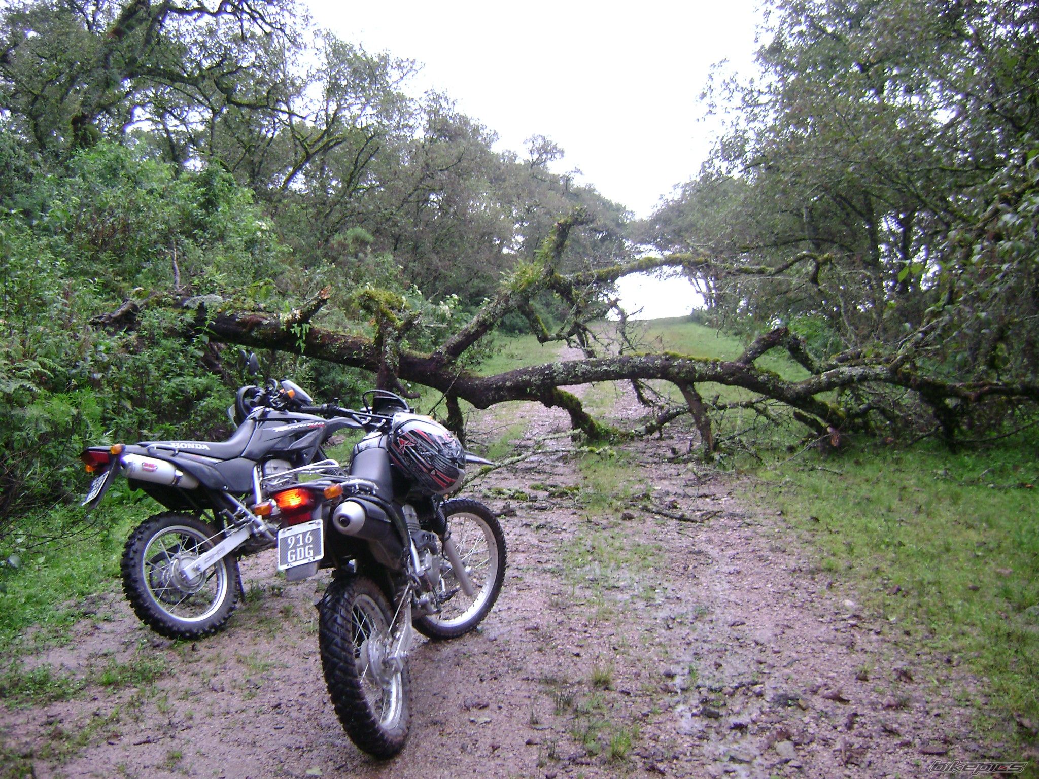 Bike Photo 2421851