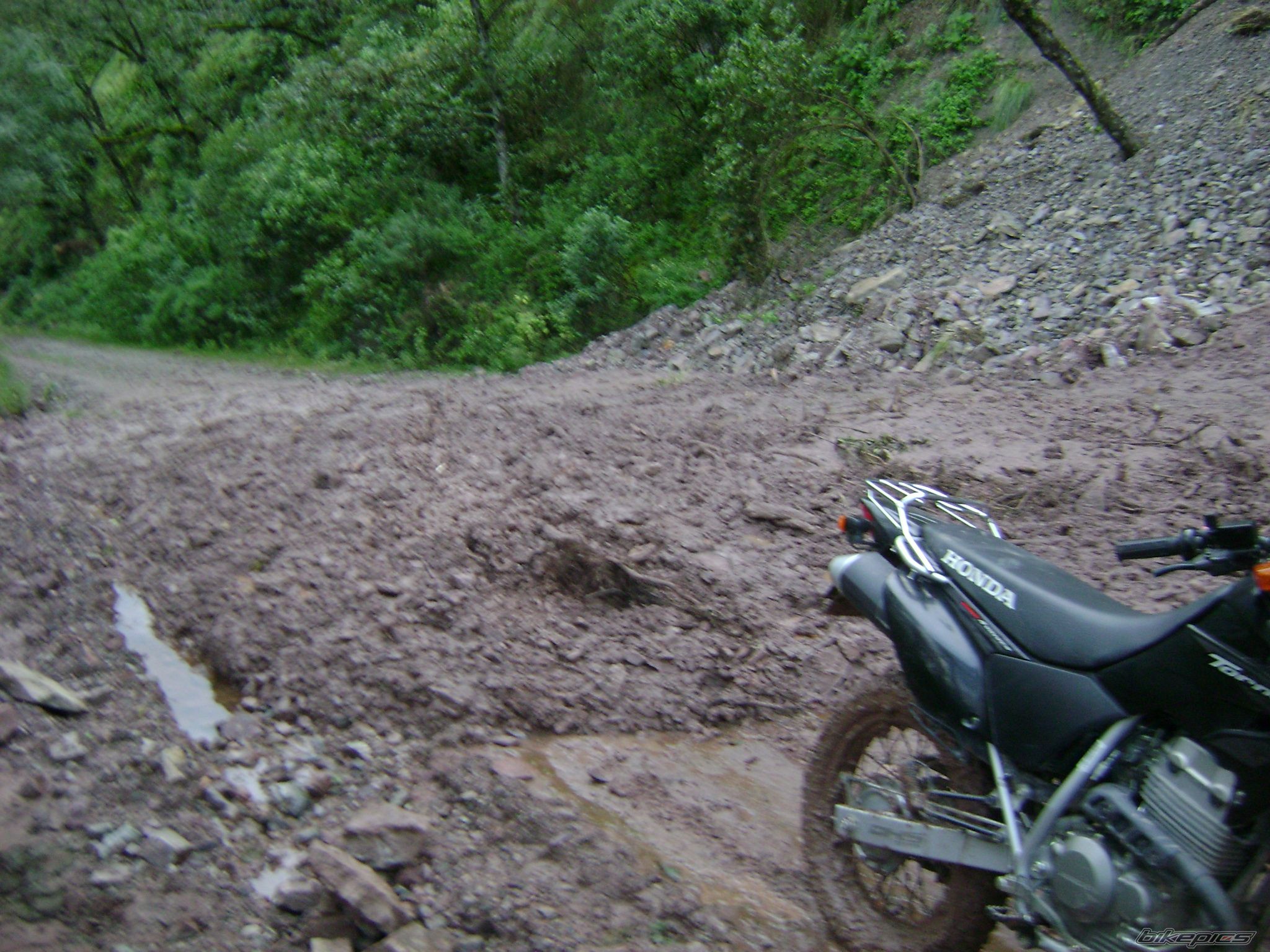 Photo 2421855