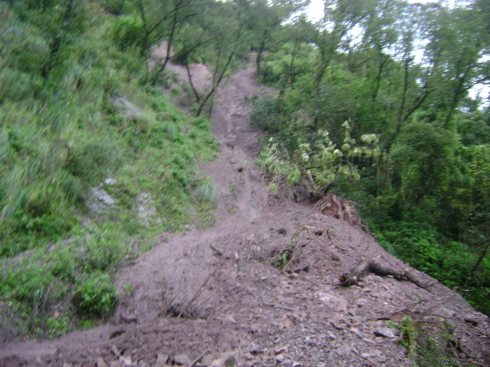Photo 2421856