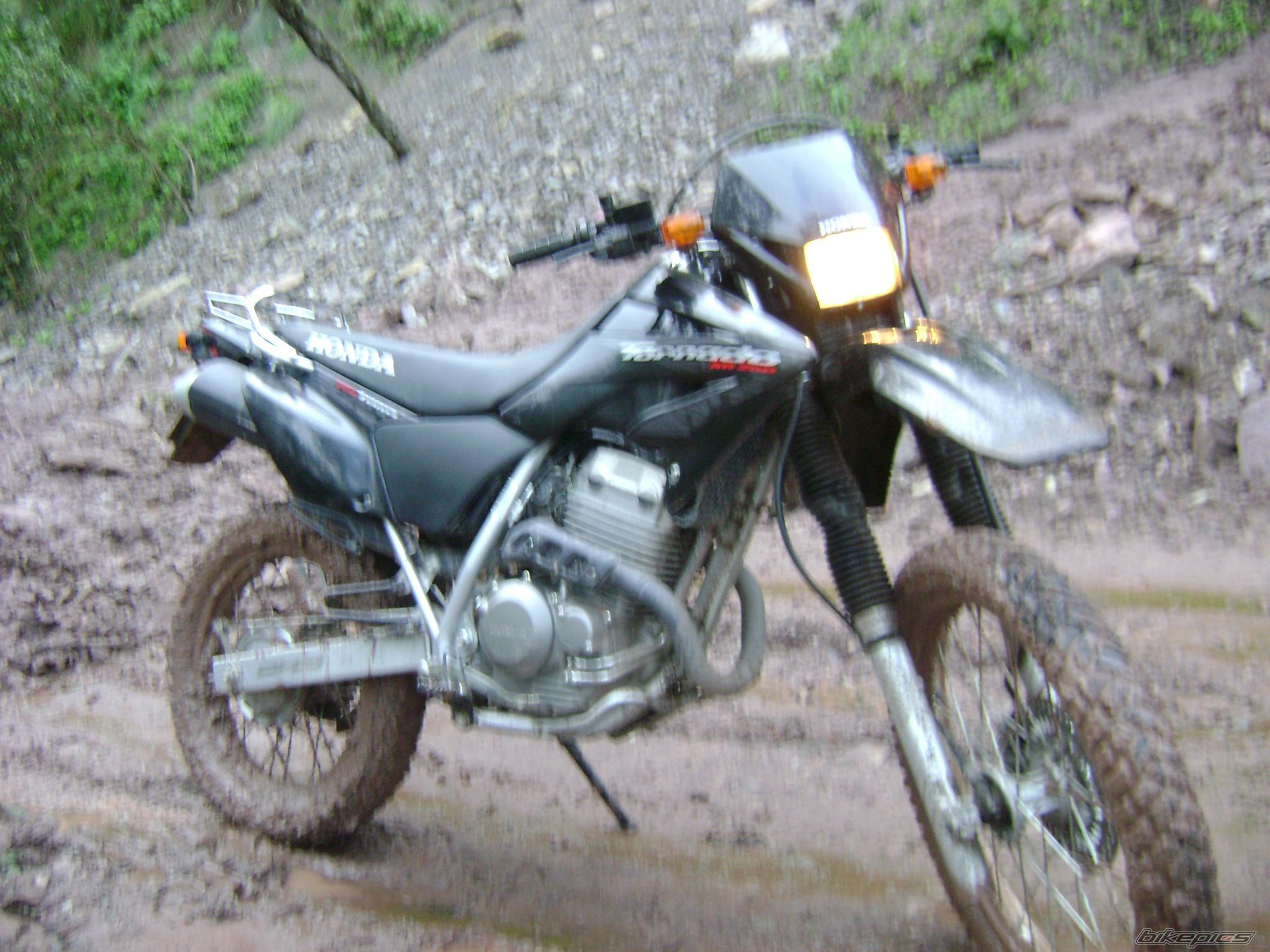 Photo 2421857