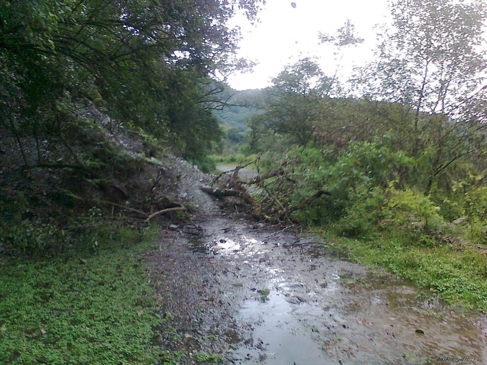 Photo 2421860