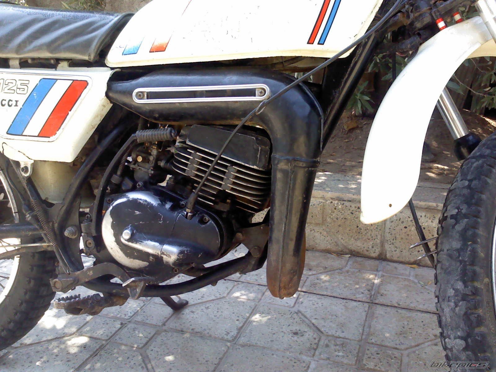Photo 2421936