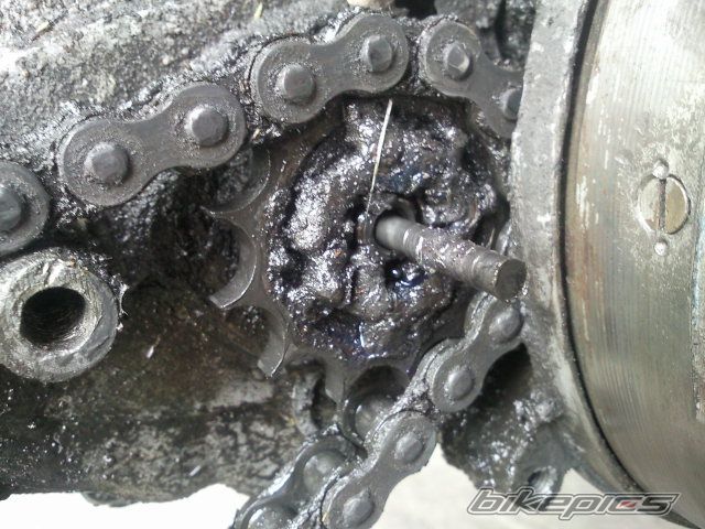 Photo 2421953
