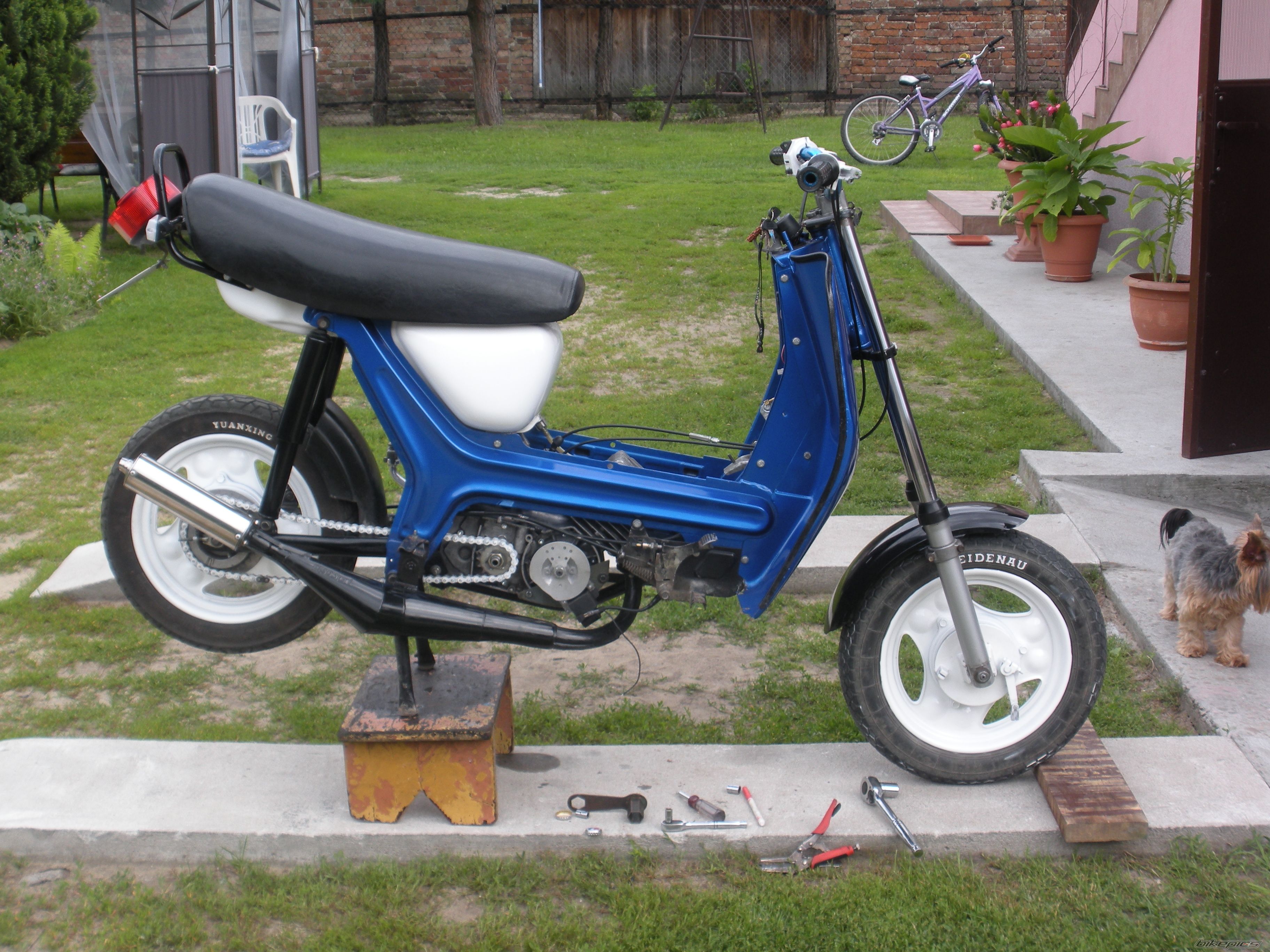 Photo 2422266