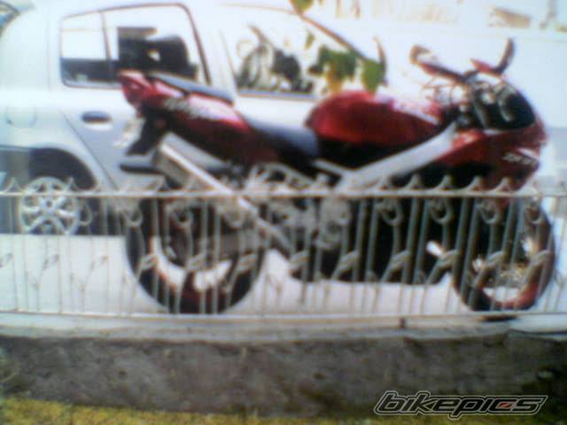 Photo 242229