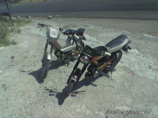 Photo 242231