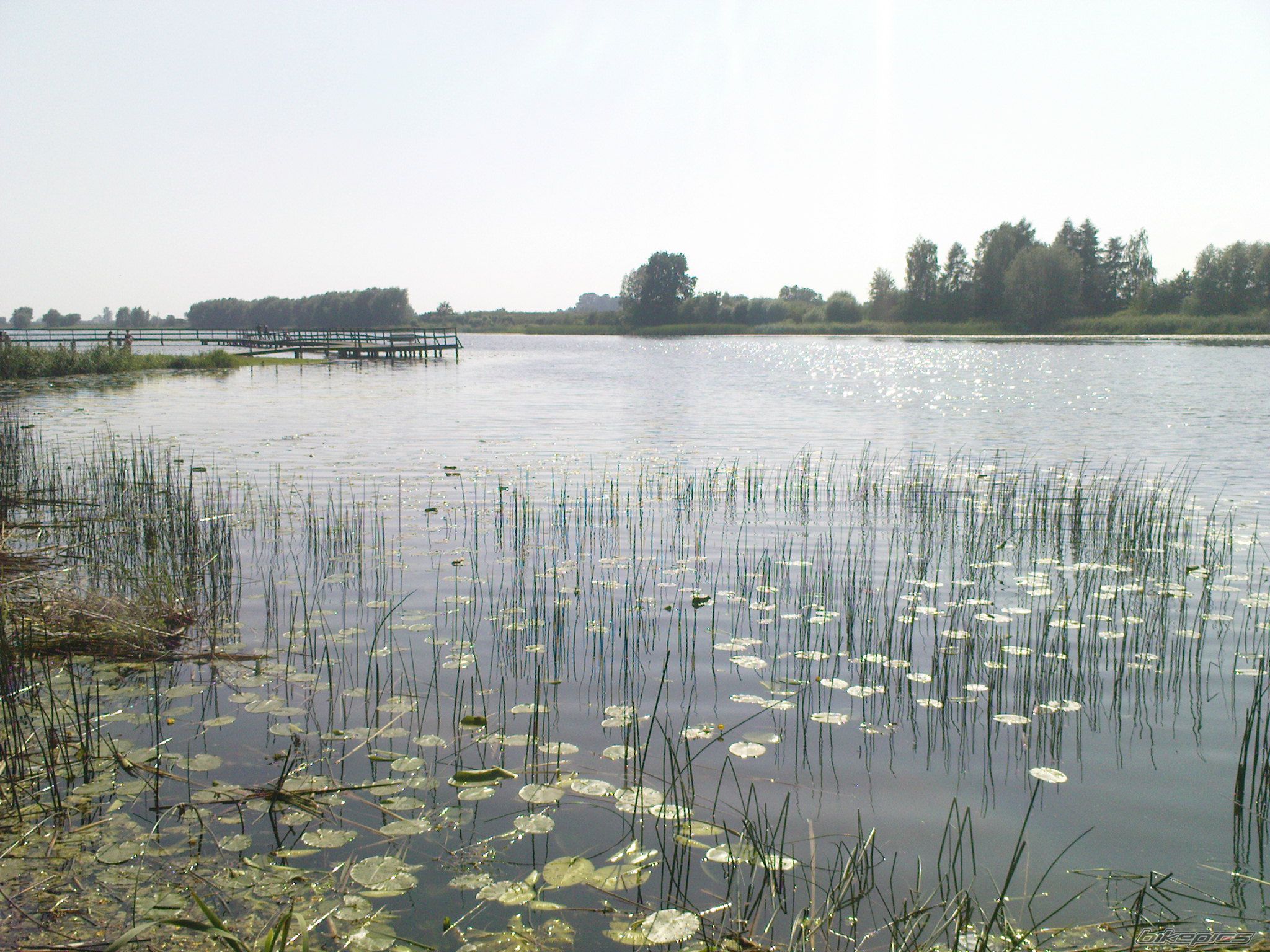 Photo 2422343