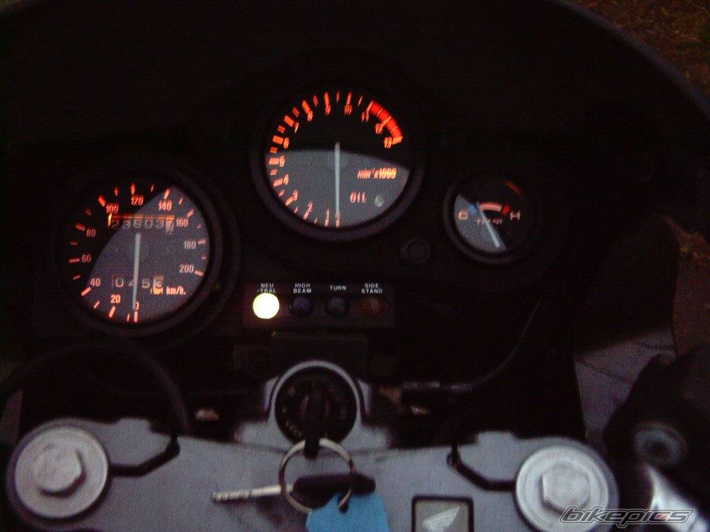 Photo 242249