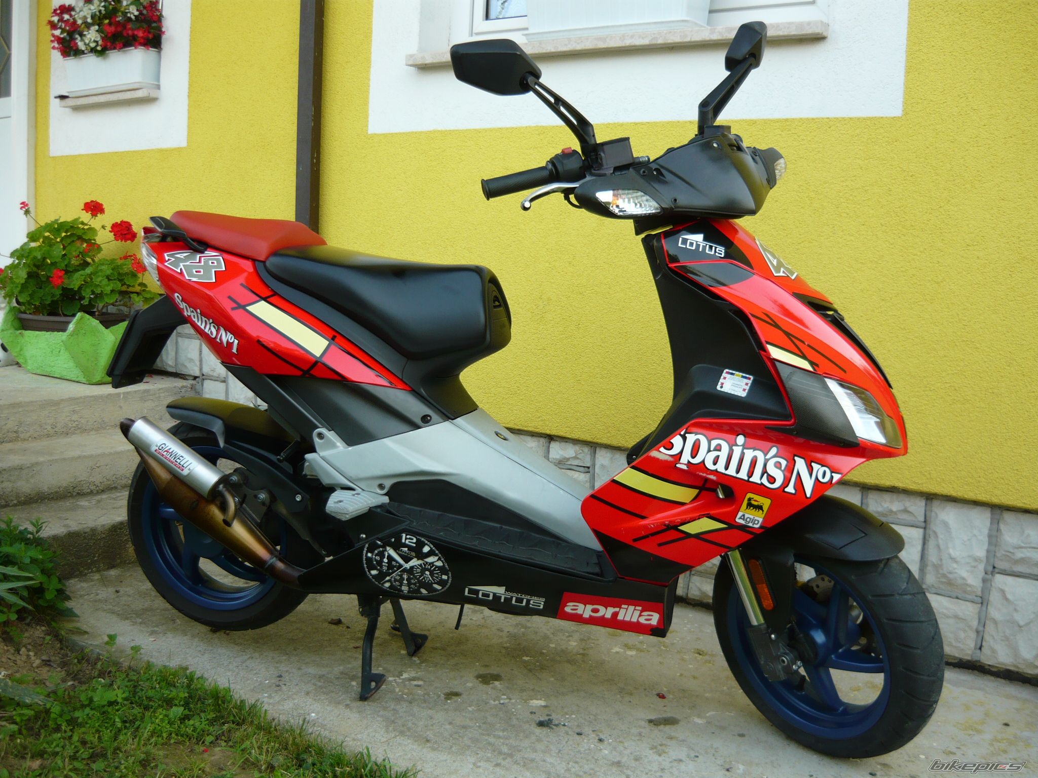 Photo 2422554