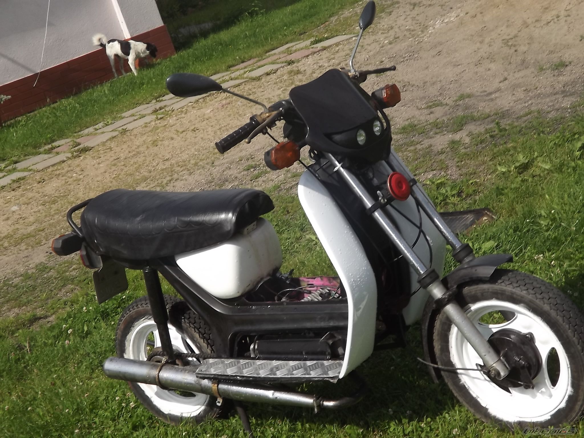 Photo 2422630
