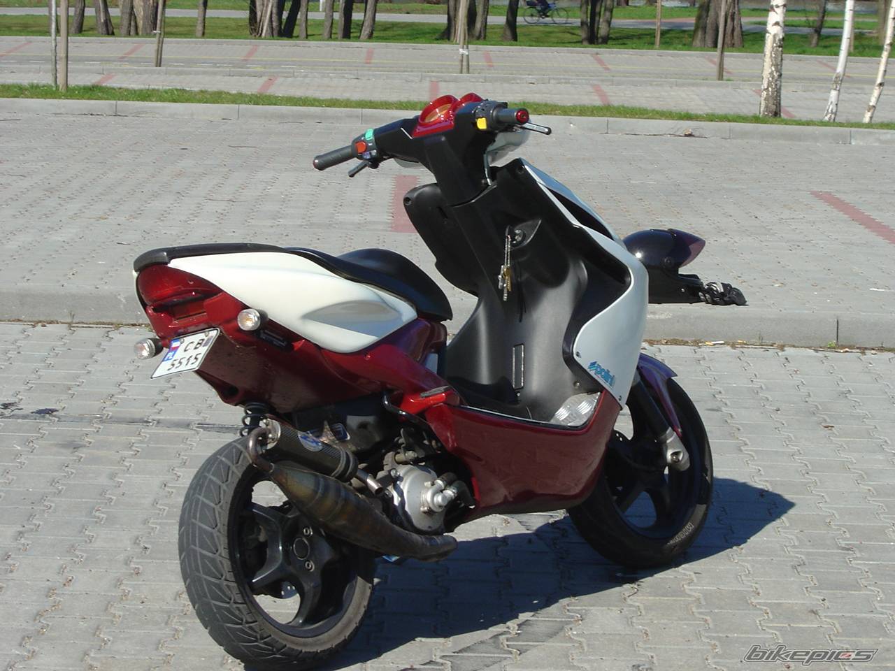 Bike Photo 242273