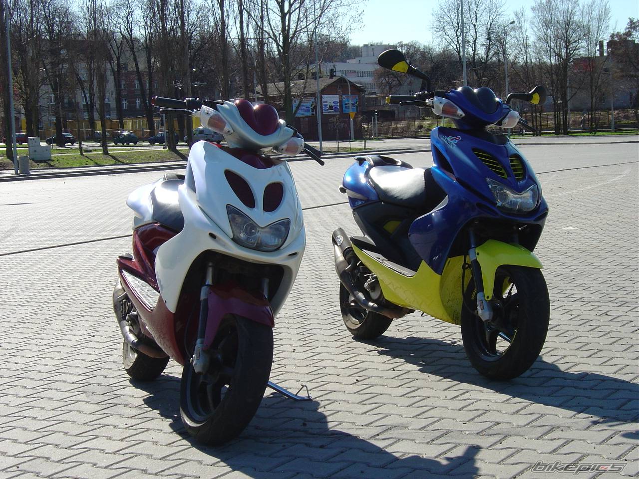 Bike Photo 242274