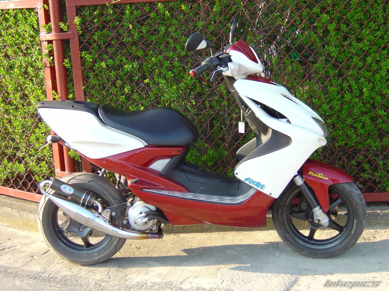 Bike Photo 242276