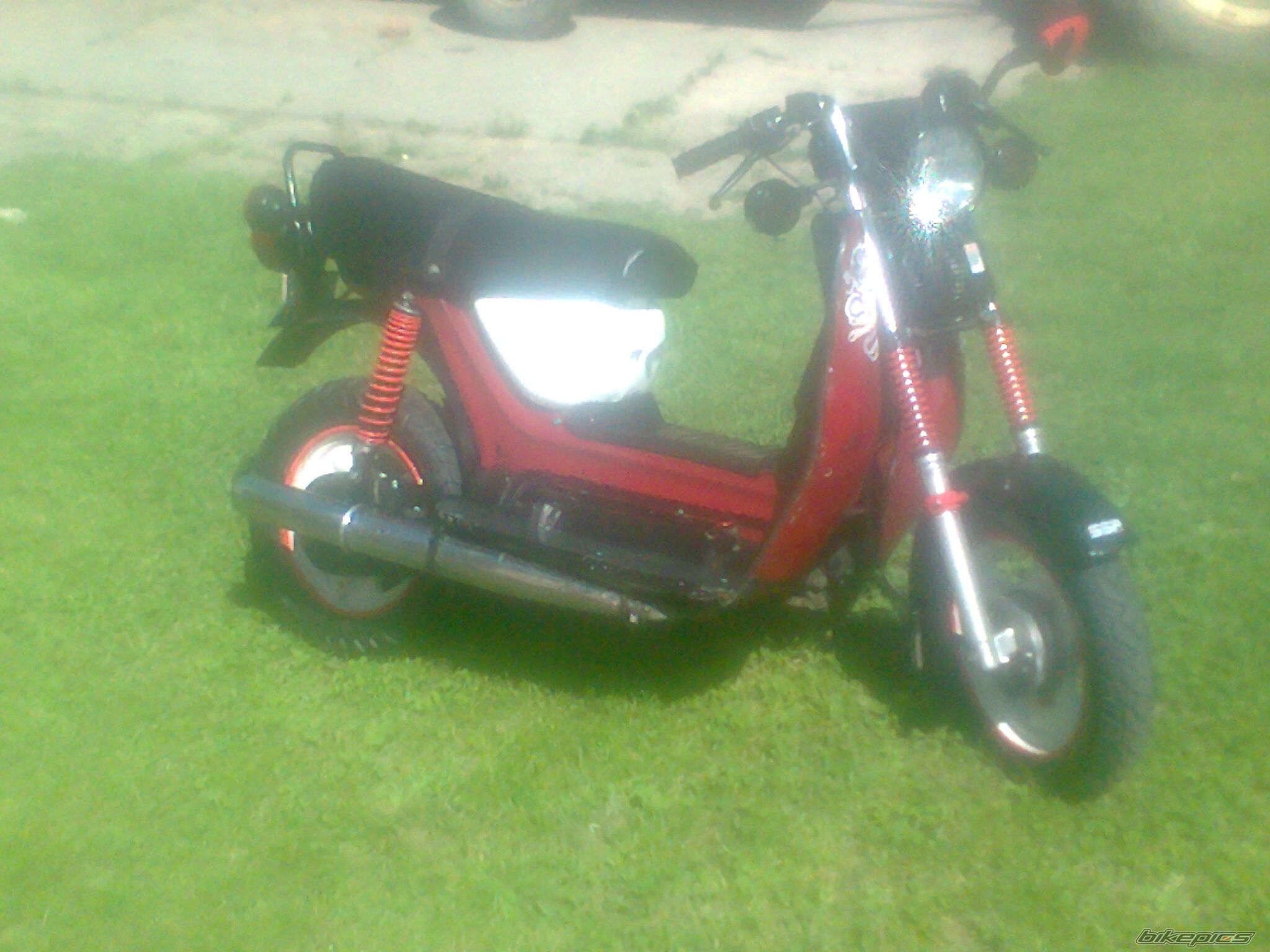 Photo 2422811