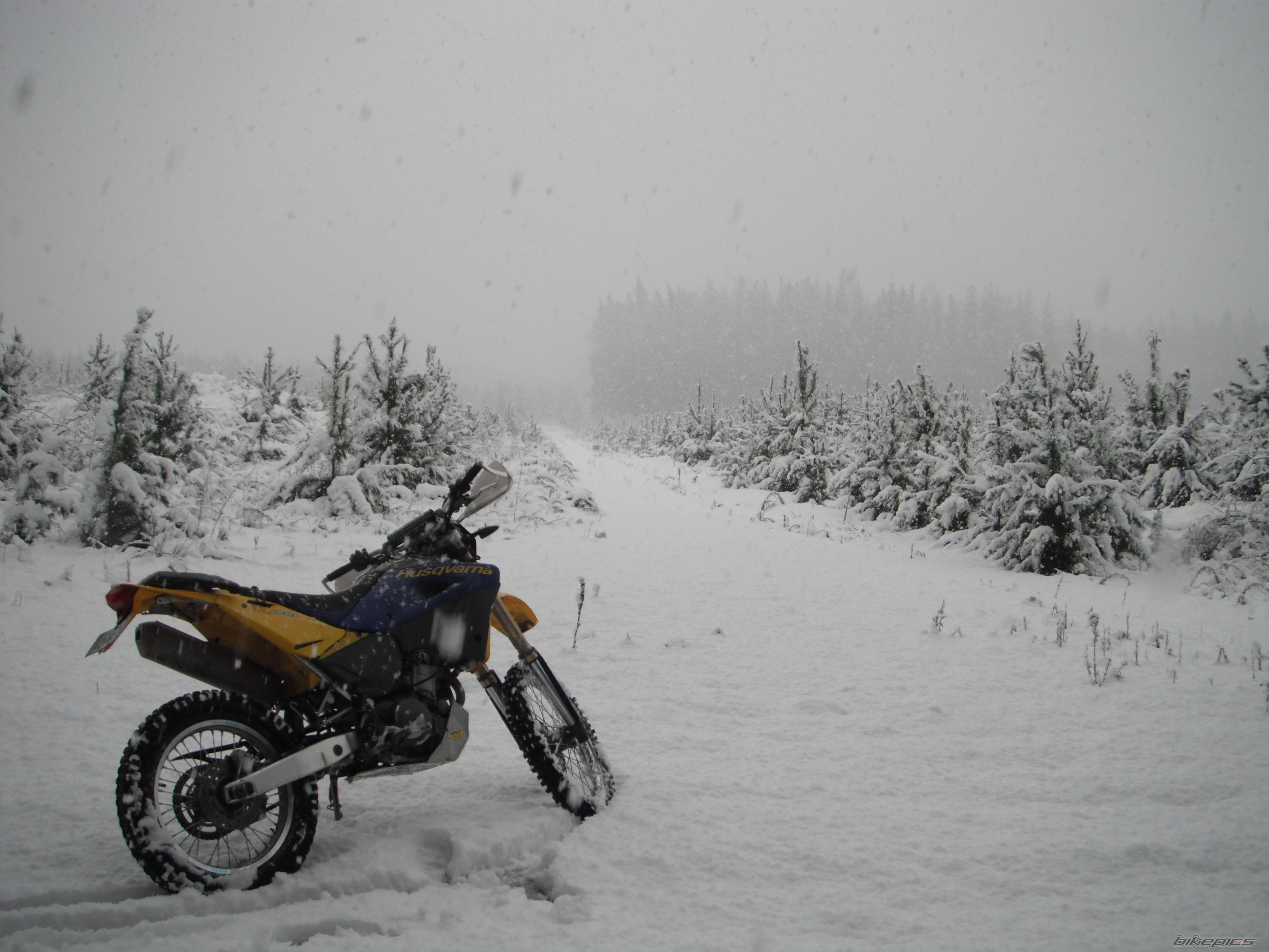 Photo 2422881