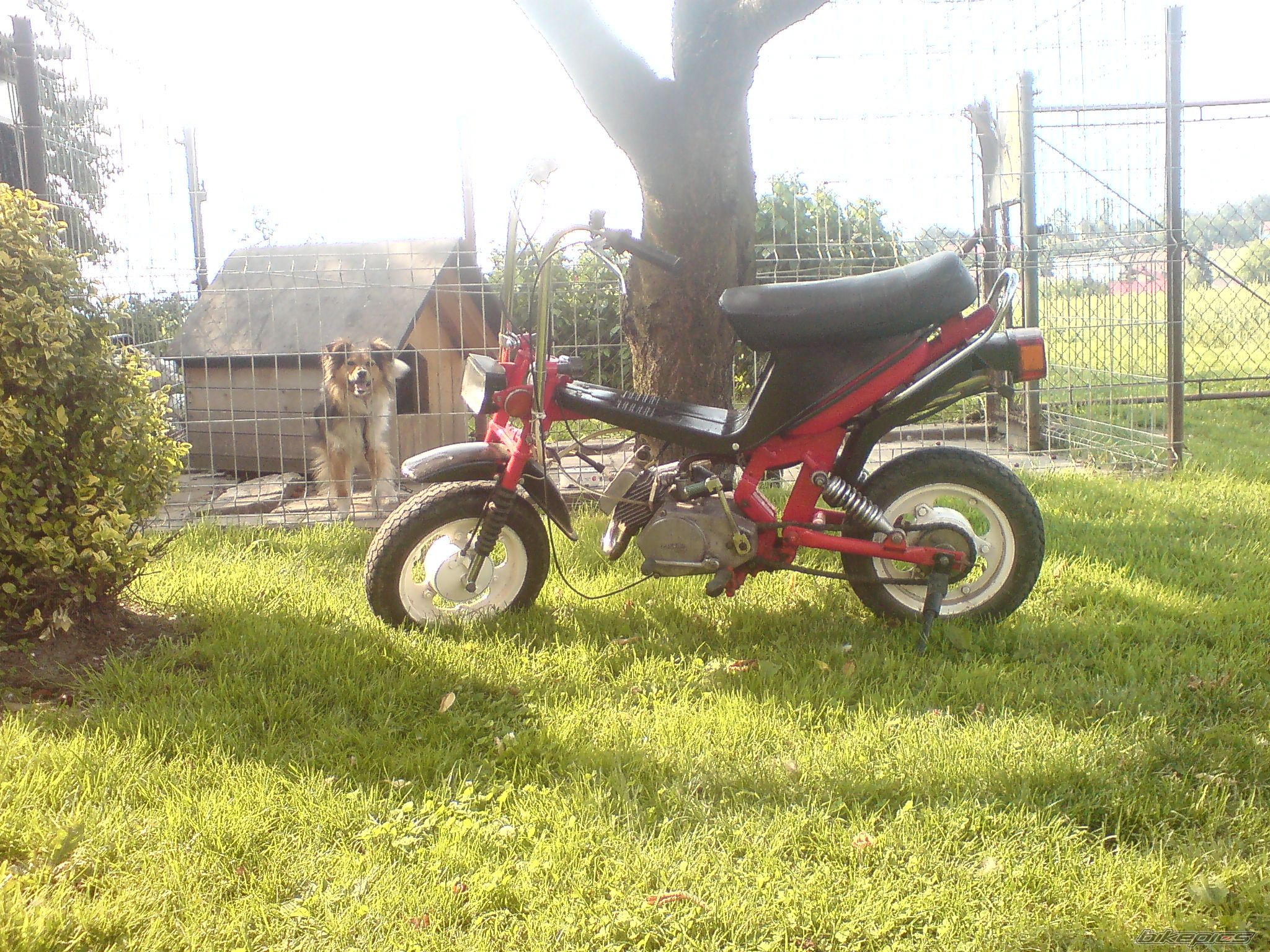 Photo 2422909