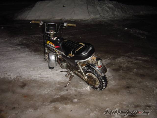 Bike Photo 242306