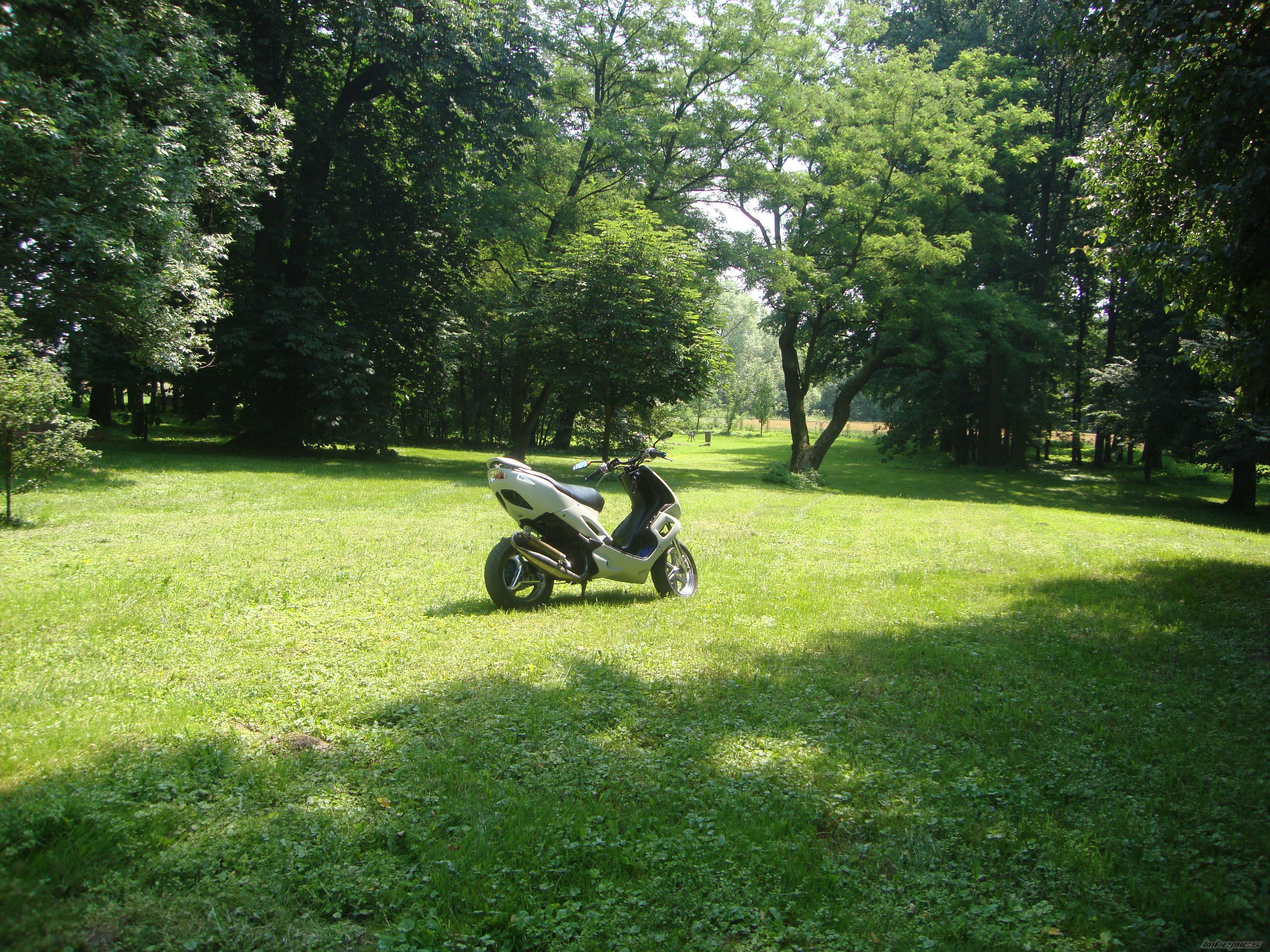 Photo 2423060