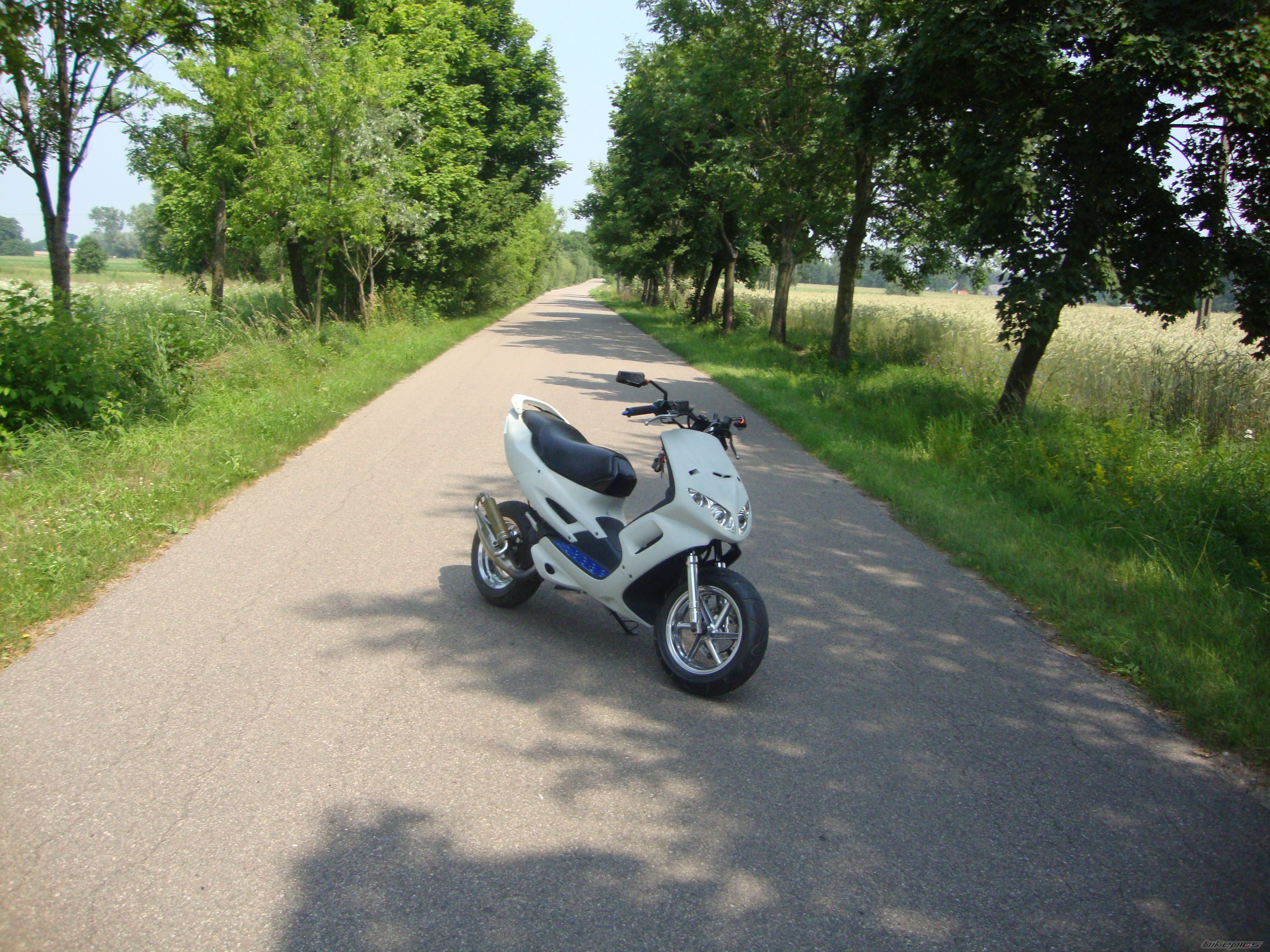 Photo 2423079