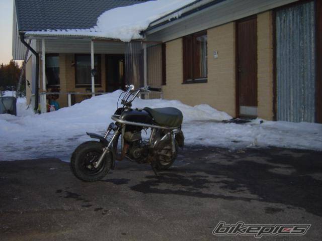 Photo 242316