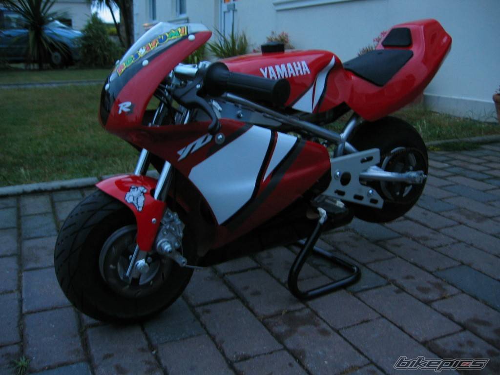 Photo 242330
