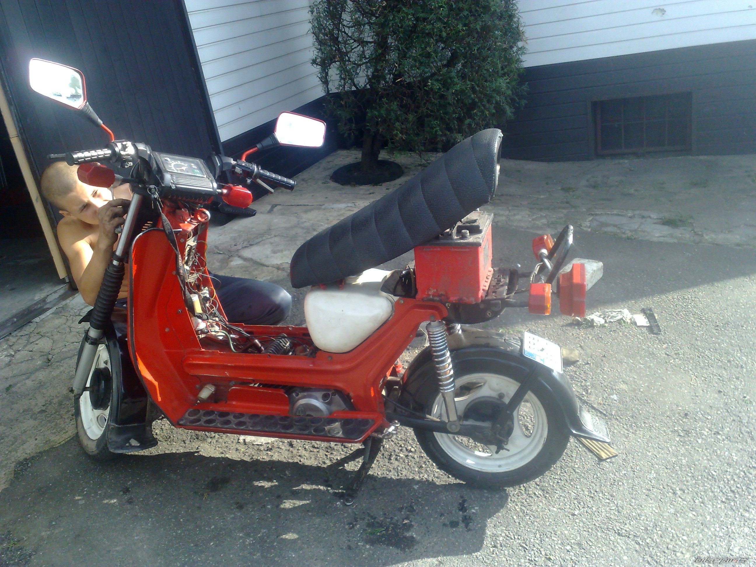 Photo 2423314