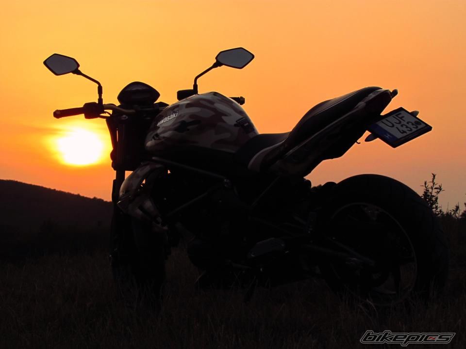 Photo 2423362