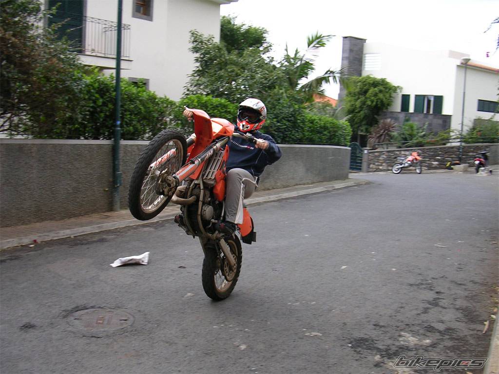 Photo 242337