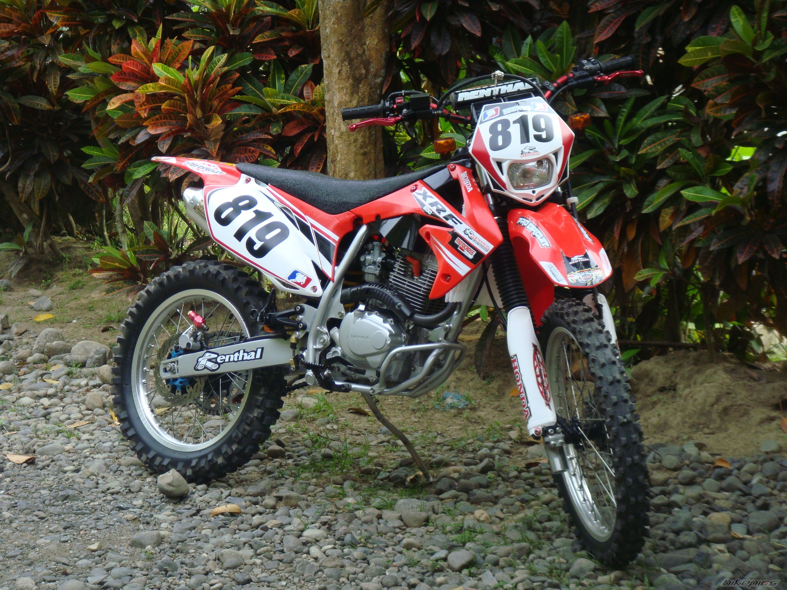 Photo 2423378