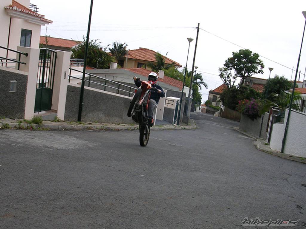 Photo 242339