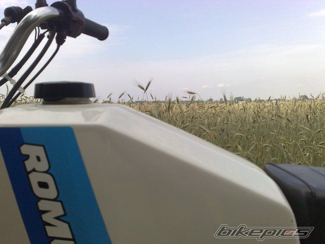 Photo 2423430
