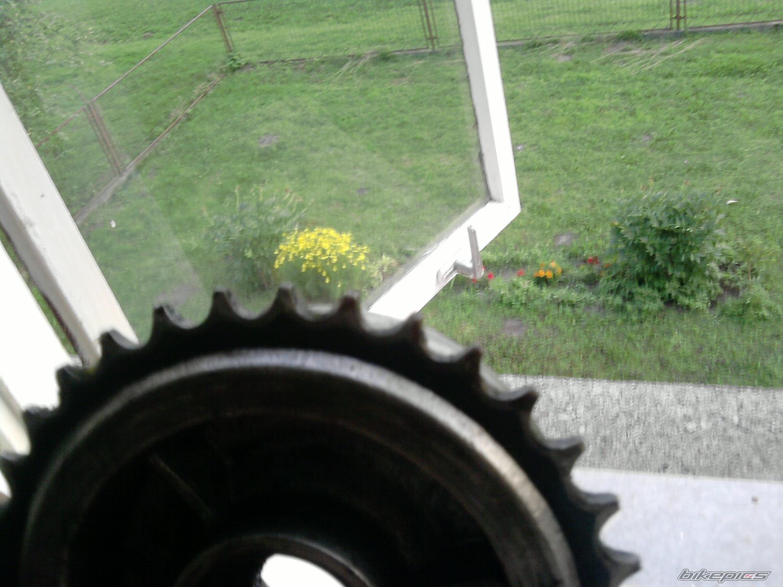 Photo 2423491