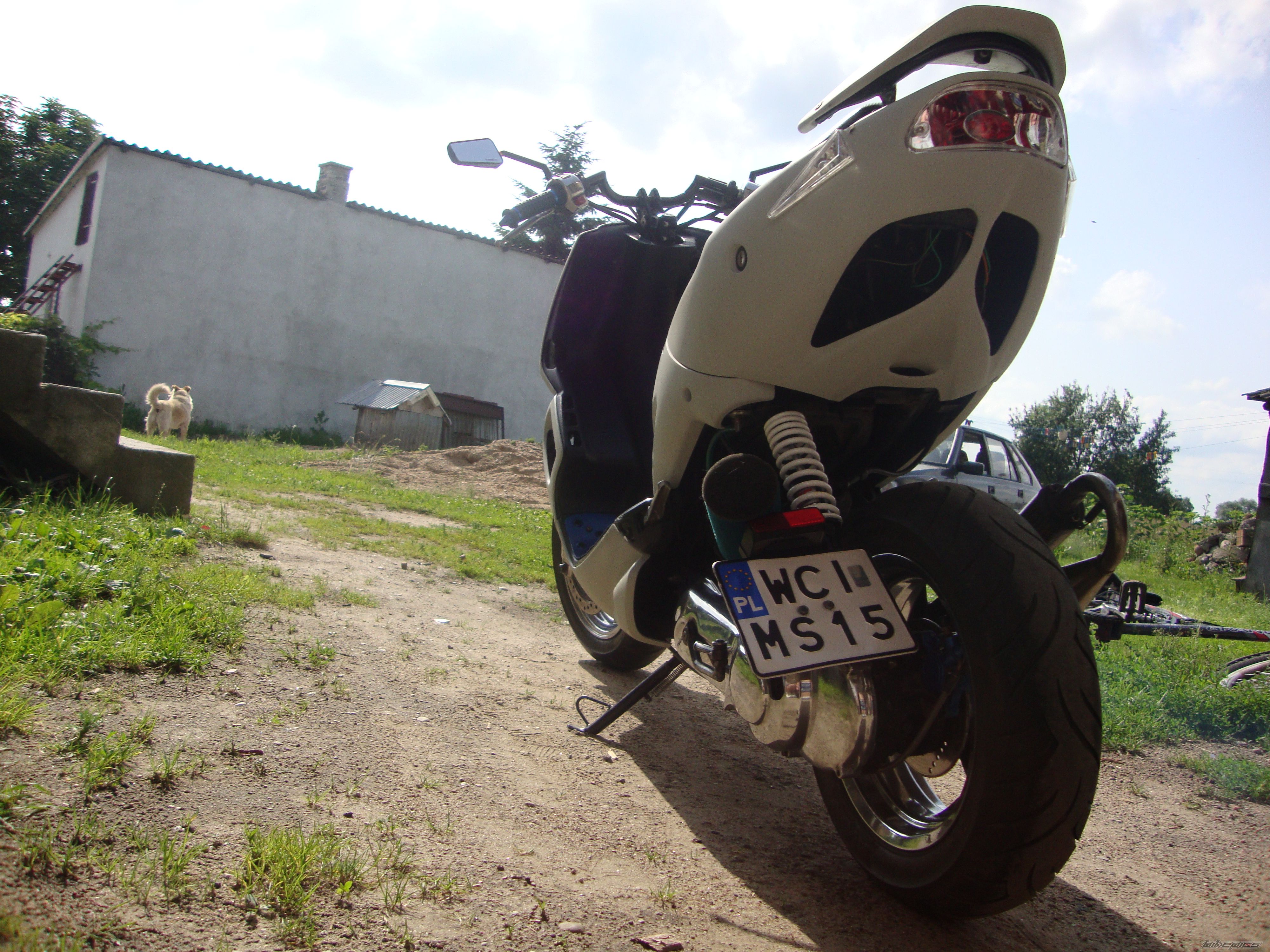 Photo 2423524
