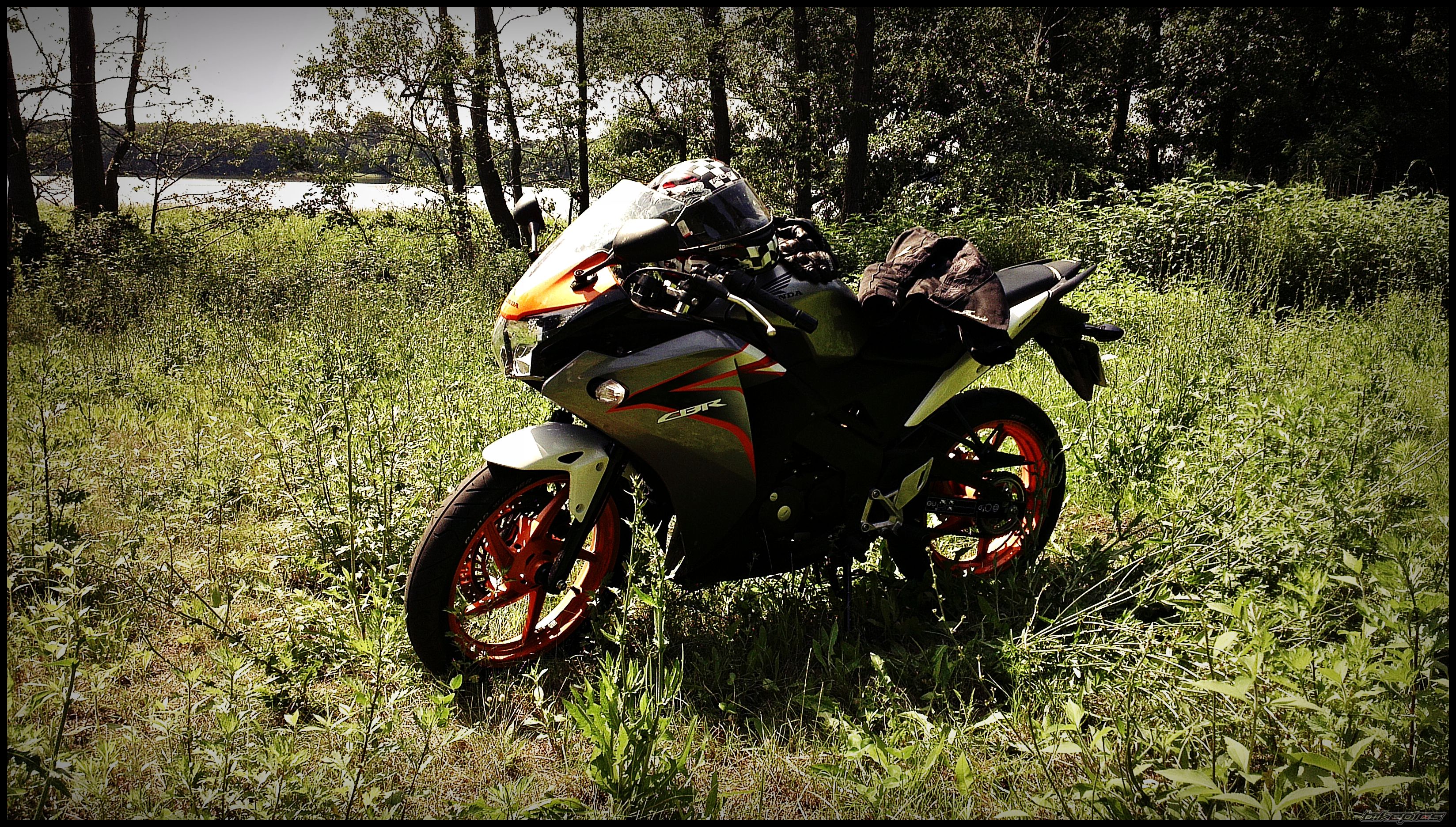Photo 2423532